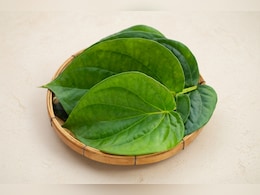 पान का पत्ता बढ़ते यूरिक एसिड को कंट्रोल करने में मददगार, सूजन और मसूड़ों के दर्द में दिलाता है राहत