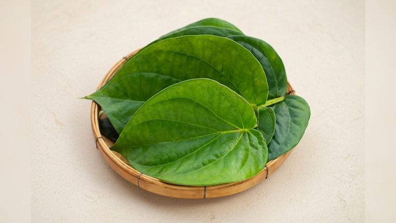 पान का पत्ता बढ़ते यूरिक एसिड को कंट्रोल करने में मददगार, सूजन और मसूड़ों के दर्द में दिलाता है राहत