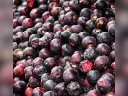 Heat Stroke से बचाने के साथ ही, शरीर को एनर्जेटिक रखेगा ये खट्टा फल, आप जानते हैं क्या इसका नाम?