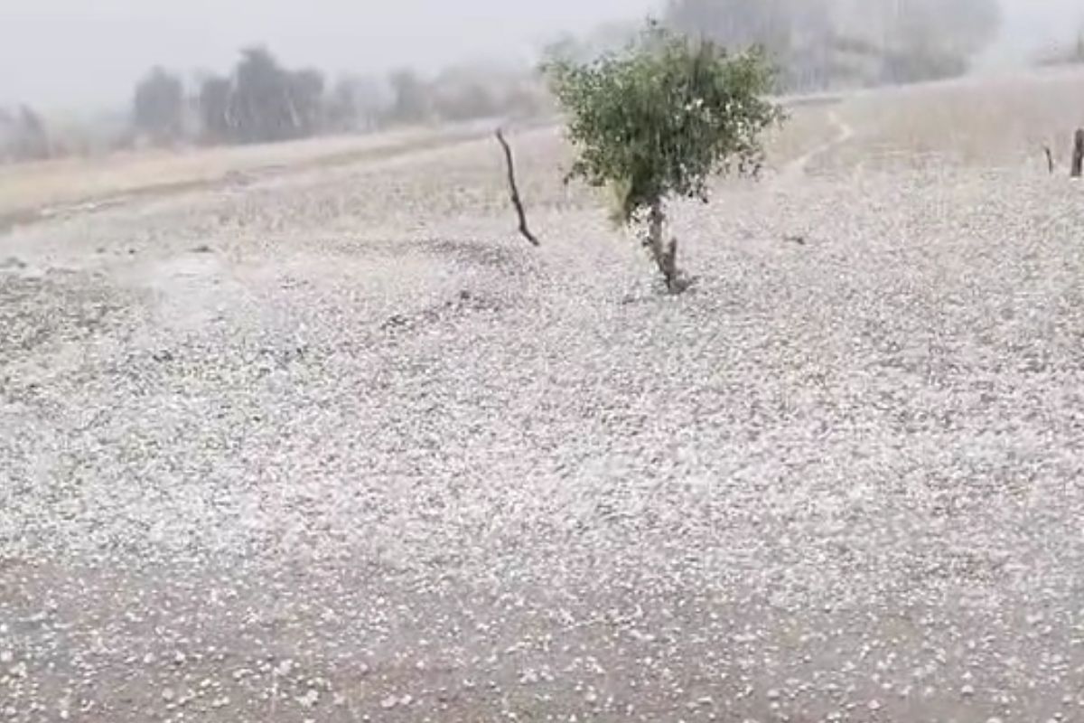 मरुस्थल में ‘कश्मीर' जैसा नजारा, लेकिन किसानों के लिए बन गई आफत