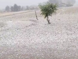 मरुस्थल में &lsquo;कश्मीर&rsquo; जैसा नजारा, लेकिन किसानों के लिए बन गई आफत