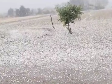 मरुस्थल में &lsquo;कश्मीर&rsquo; जैसा नजारा, लेकिन किसानों के लिए बन गई आफत