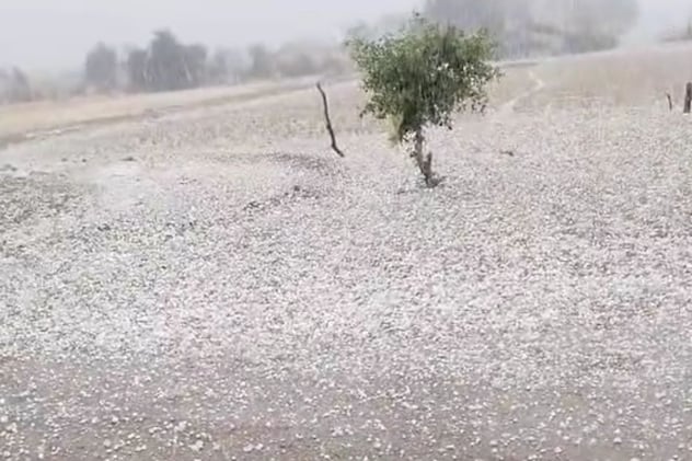 मरुस्थल में &lsquo;कश्मीर' जैसा नजारा, लेकिन किसानों के लिए बन गई आफत