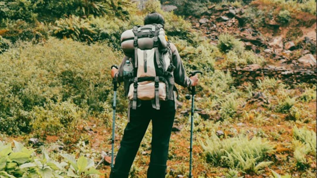 Kerala Trekker Survives Four Days Lost In Karnataka Forest With Only Fireflies For Company