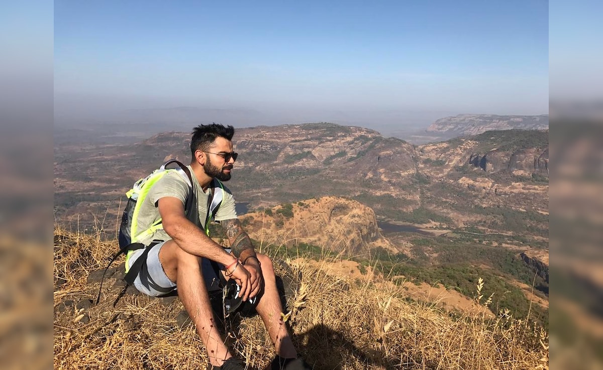 Latest and Breaking News on NDTV