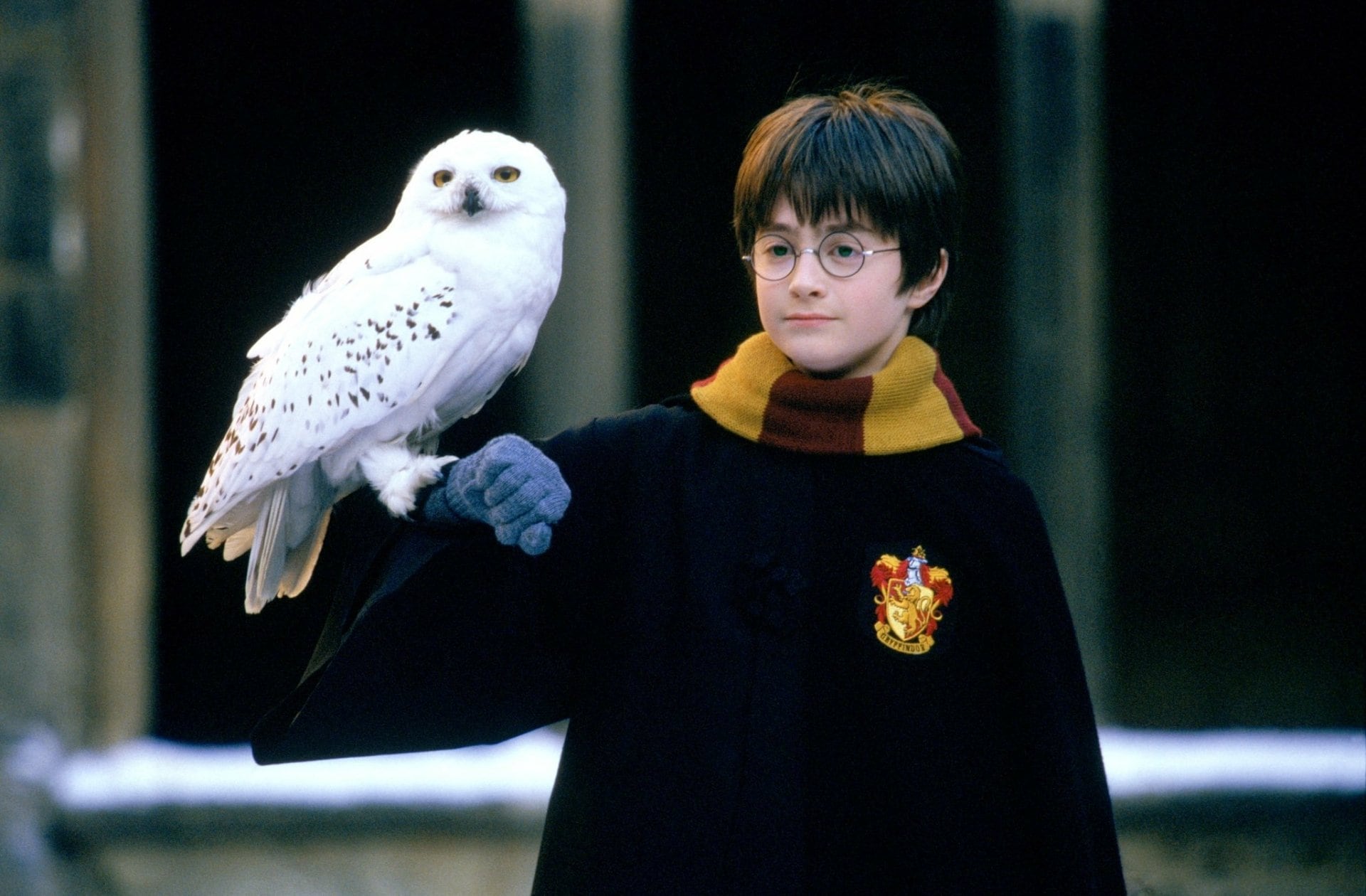 Harry Potter with Hedwig