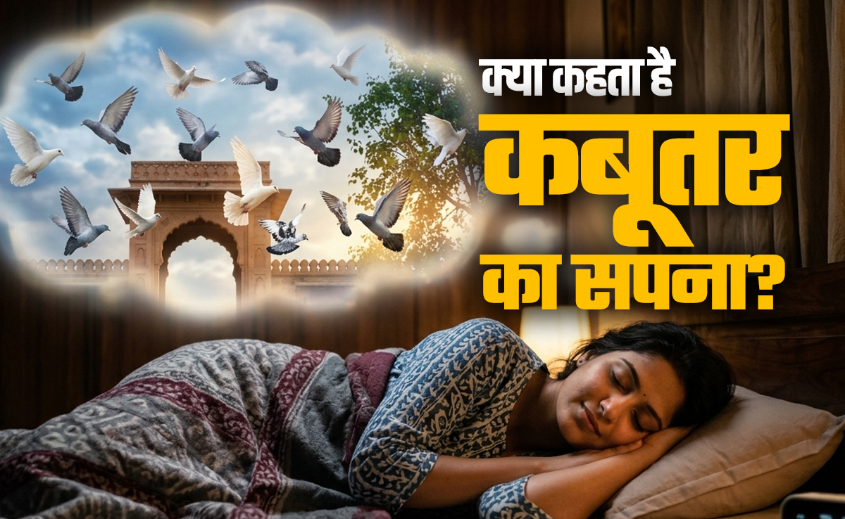 Birds Dream Meaning: सपने में कबूतर दिखने का क्या होता है मतलब? जानें पक्षियों से जुड़े सपनों के संकेत