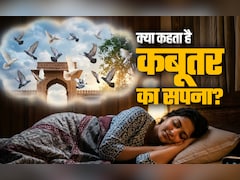 Birds Dream Meaning: सपने में कबूतर दिखने का क्या होता है मतलब? जानें पक्षियों से जुड़े सपनों के संकेत