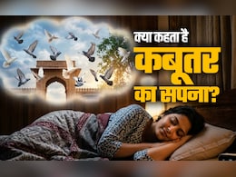 Birds Dream Meaning: सपने में कबूतर दिखने का क्या होता है मतलब? जानें पक्षियों से जुड़े सपनों के संकेत