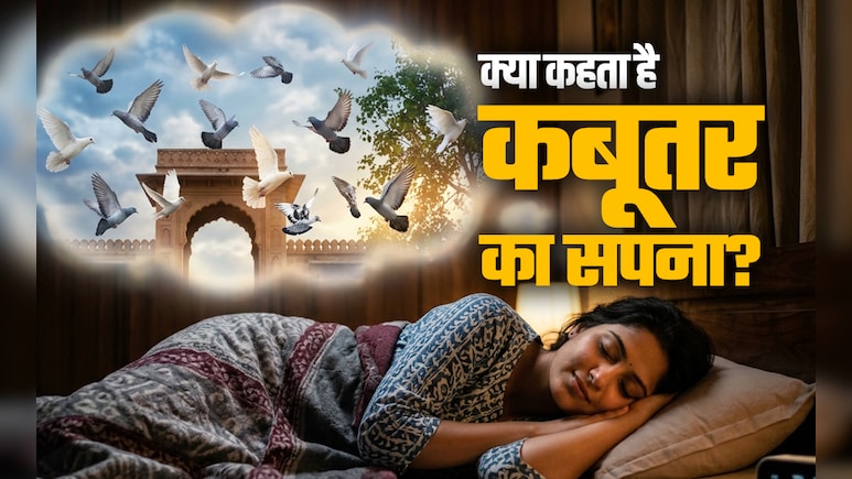 Birds Dream Meaning: सपने में कबूतर दिखने का क्या होता है मतलब? जानें पक्षियों से जुड़े सपनों के संकेत