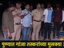 Pune News:  पुण्यातील या महामार्गावर गांजा तस्करांचा धुमाकूळ, पोलिसांना पांढऱ्या कारमध्ये सापडला 25 किलो गांजा