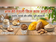 'आम के आम गुठलियों के दाम' जानें बची हुई गुठलियों से क्या-क्या बनाया जा सकता है?