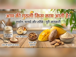 'आम के आम गुठलियों के दाम' जानें बची हुई गुठलियों से क्या-क्या बनाया जा सकता है?