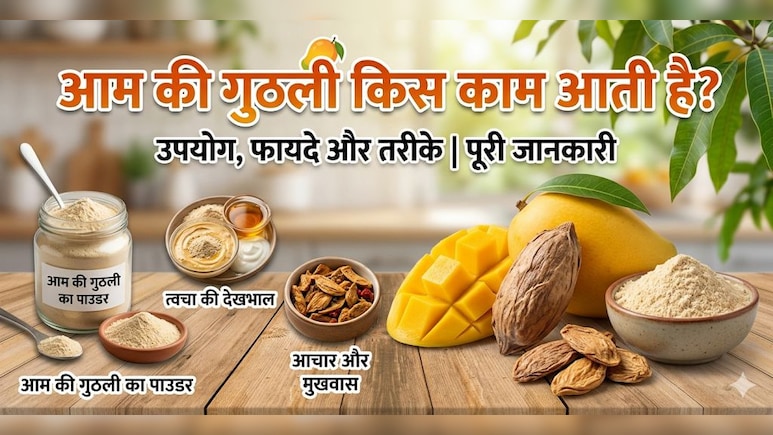 'आम के आम गुठलियों के दाम' जानें बची हुई गुठलियों से क्या-क्या बनाया जा सकता है?