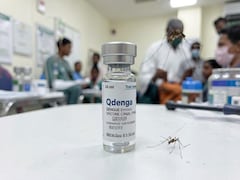 India To Get Dengue Vaccine Qdenga Soon, Doctors Share What To Expect