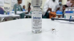 India To Get First Dengue Vaccine In 2027: What Is QDENGA?