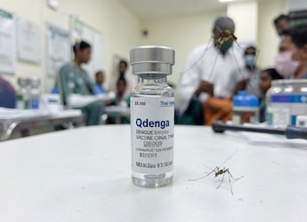 India To Get First Dengue Vaccine In 2027: What Is QDENGA?