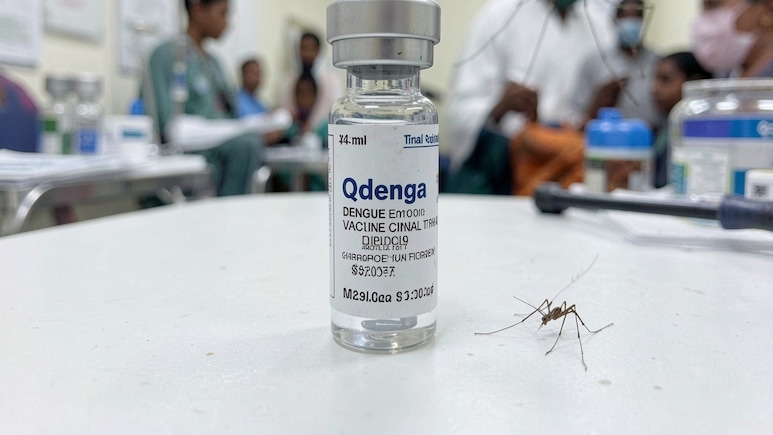 India Set To Get Dengue Vaccine Qdenga Soon: Doctors Explain What To Expect