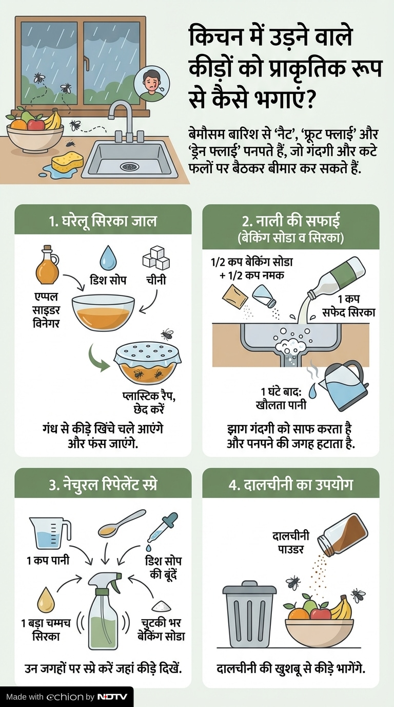 Latest and Breaking News on NDTV