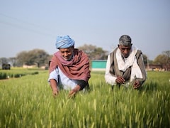 Inside Ab InBev India's Push To Build A Local Barley Supply Chain