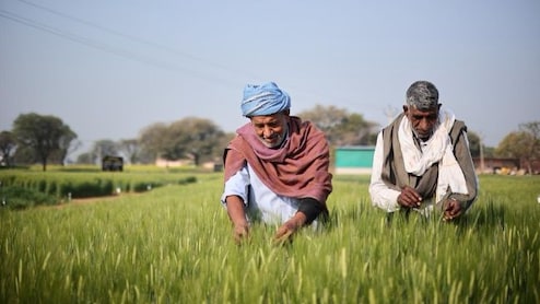 Inside Ab InBev India's Push To Build A Local Barley Supply Chain