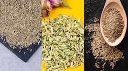 Why A Gastroenterologist Wants You To Chew These 3 Seeds After Lunch
