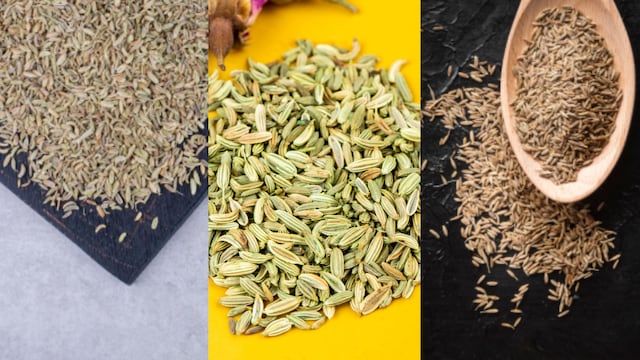 Fennel, carom, and cumin seeds can be chewed after lunch to make digestion easier after lunch