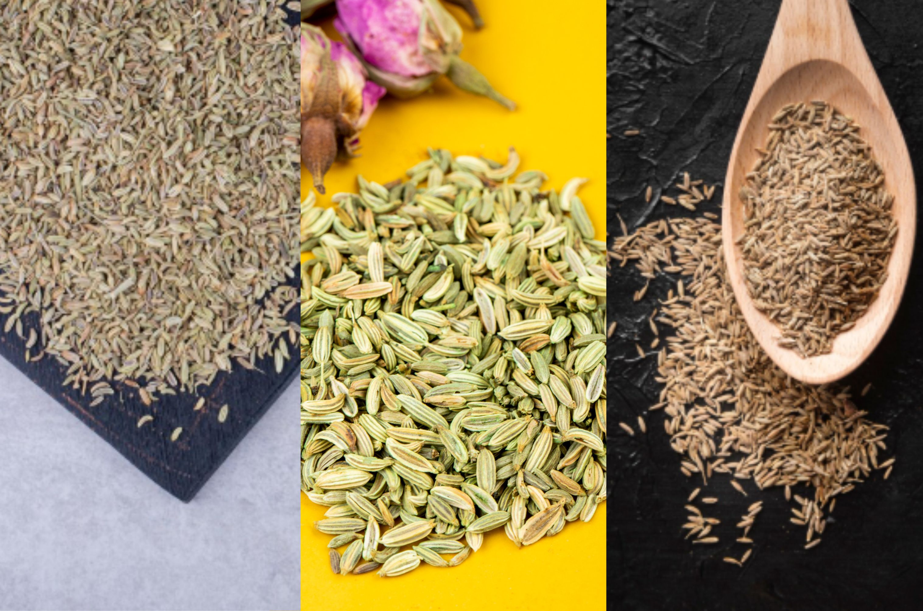 Fennel, carom, and cumin seeds can be chewed after lunch to make digestion easier after lunch