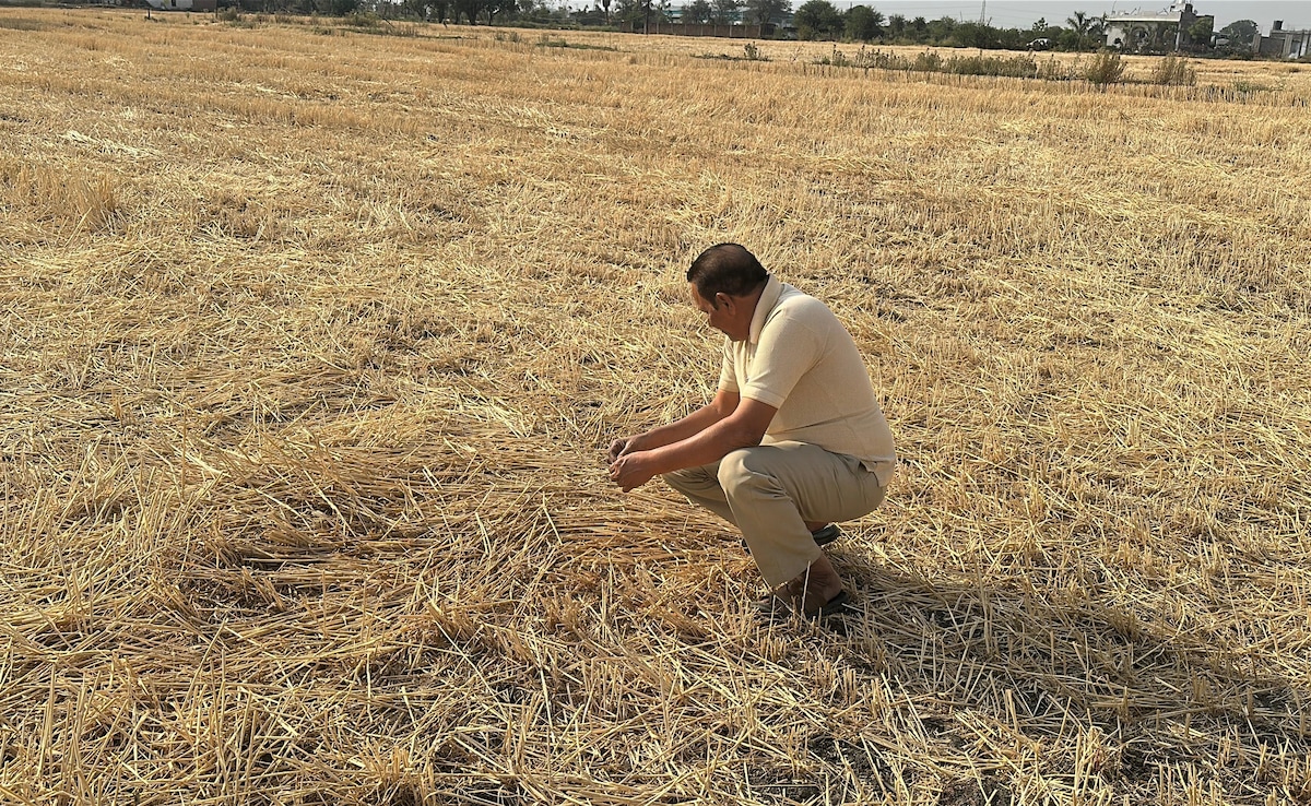 A farmer is helpless