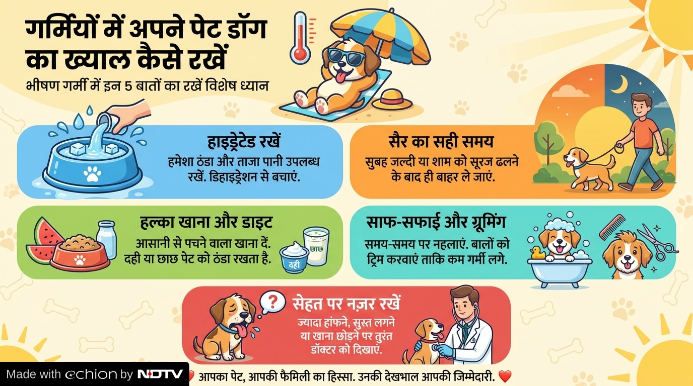 Latest and Breaking News on NDTV