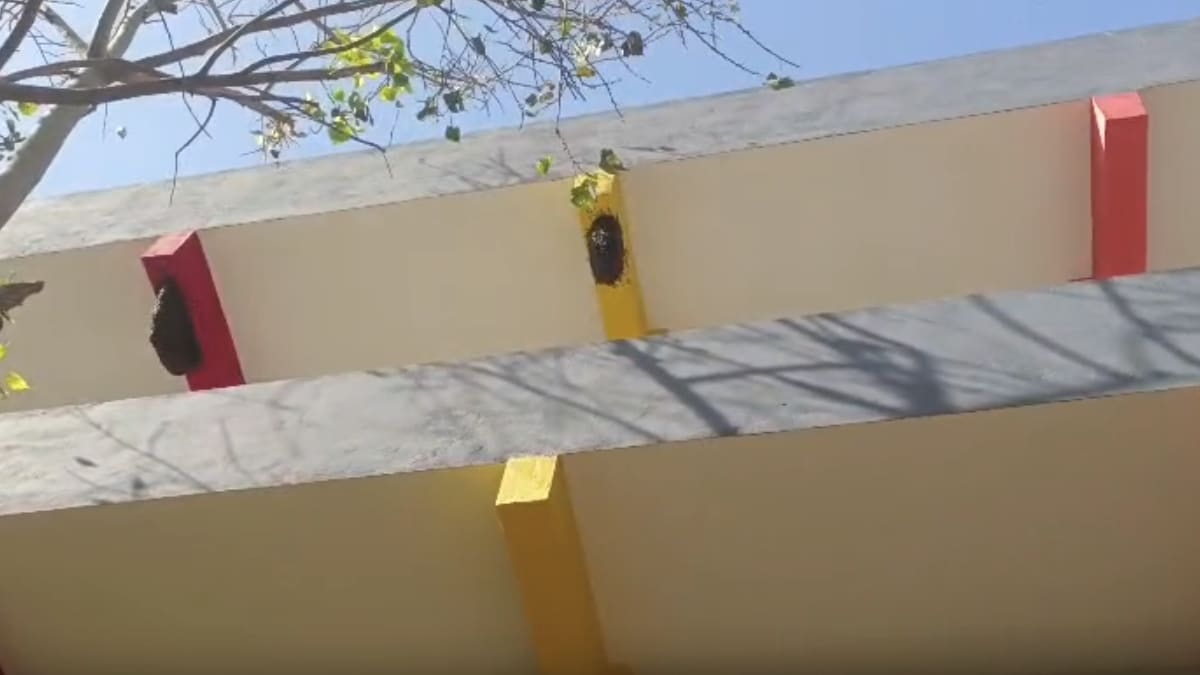 Latest and Breaking News on NDTV