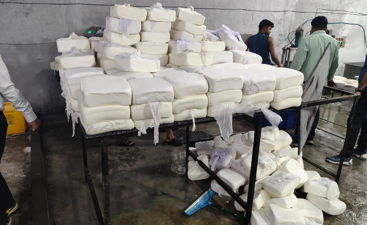 The Art of Baking: From Classic Bread to Artisan Pastries