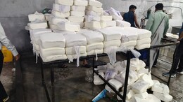 1400 Kg Fake Paneer Made With Chemicals, Rs 28 Lakh Goods Seized As Massive Racket Busted In Surat