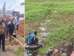 The Lotus Heist: How A Master Thief Turned A Pond Into His Last Hideout