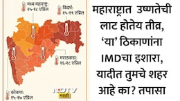 Heatwave News: सूर्य आग ओकतोय! पुढचे 4 दिवस महत्त्वाचे; मध्य महाराष्ट्र, विदर्भ, मराठवाडा, कोकणाला IMDचा इशारा
