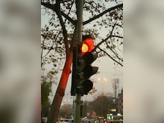 Fined For Violations They Never Committed: How Hyderabad's Number Plate Cloning Scam Is Punishing Wrong People