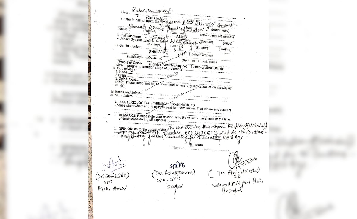 Latest and Breaking News on NDTV Latest and Breaking News on NDTV