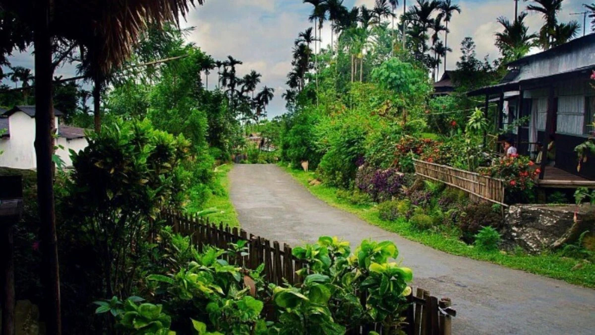 From Clean Paths to Living Roots: A Day Beyond Shillong From Clean Paths to Living Roots: A Day Beyond Shillong