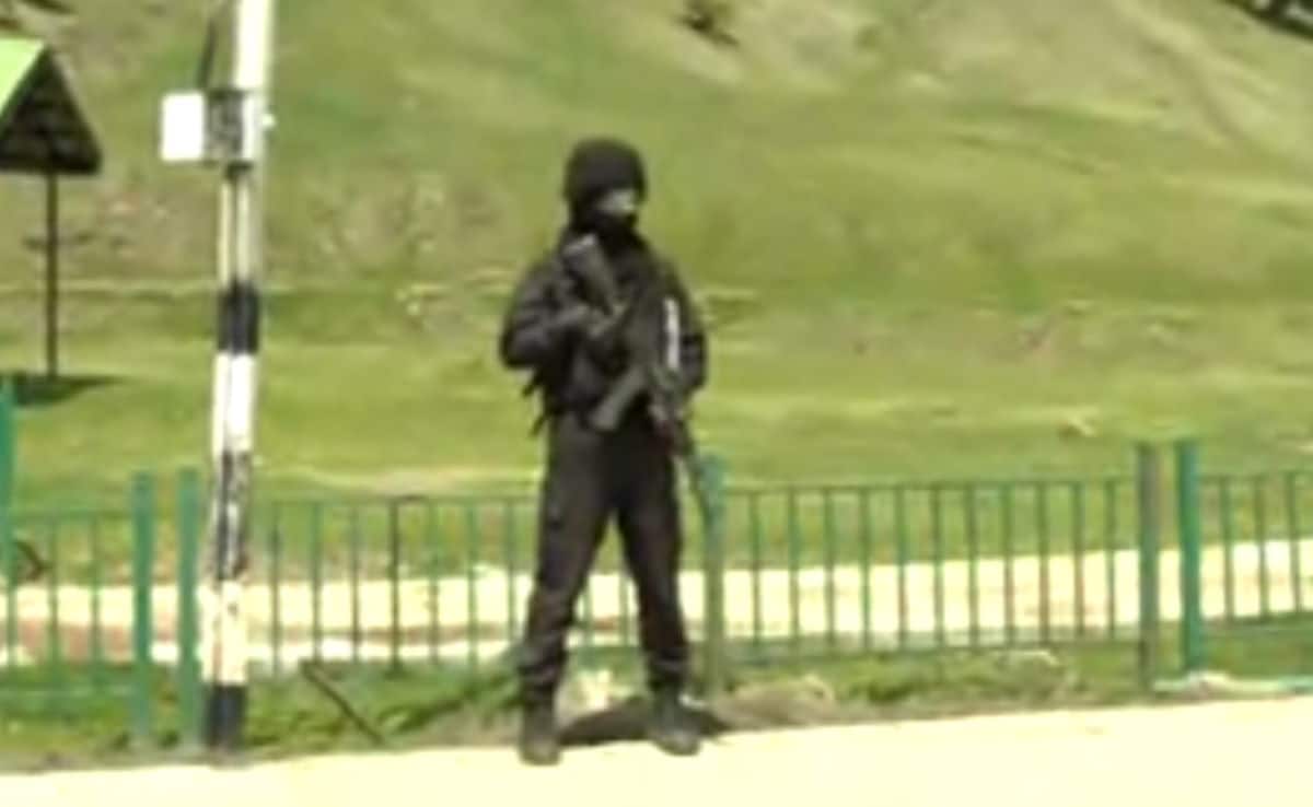 पहलगाम आतंकी हमले के एक साल बाद फिर गुलजार हुआ गुलमर्ग, पर्यटकों ने बताया कितना सुरक्षित है घूमना