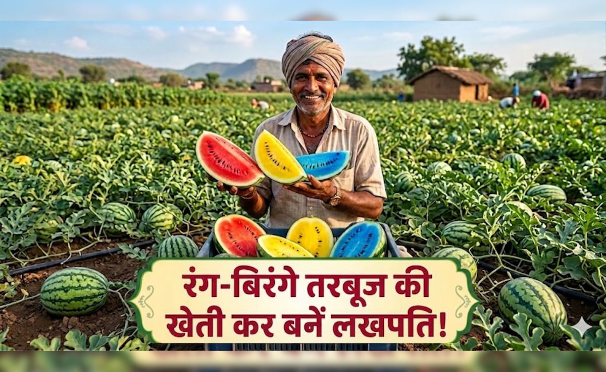 Agriculture Special: खेती में भी है खूब पैसा! इस किसाने ने लाल, नीले, पीले तरबूज उगाकर की 6.5 लाख रुपये प्रति एकड़ की कमाई, जान लें क्या है तकनीक