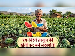 Agriculture Special: खेती में भी है खूब पैसा! इस किसाने ने लाल, नीले, पीले तरबूज उगाकर की 6.5 लाख रुपये प्रति एकड़ की कमाई, जान लें क्या है तकनीक