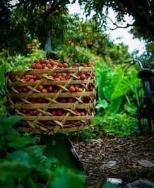 Benefits Of Eating Litchi In Summer