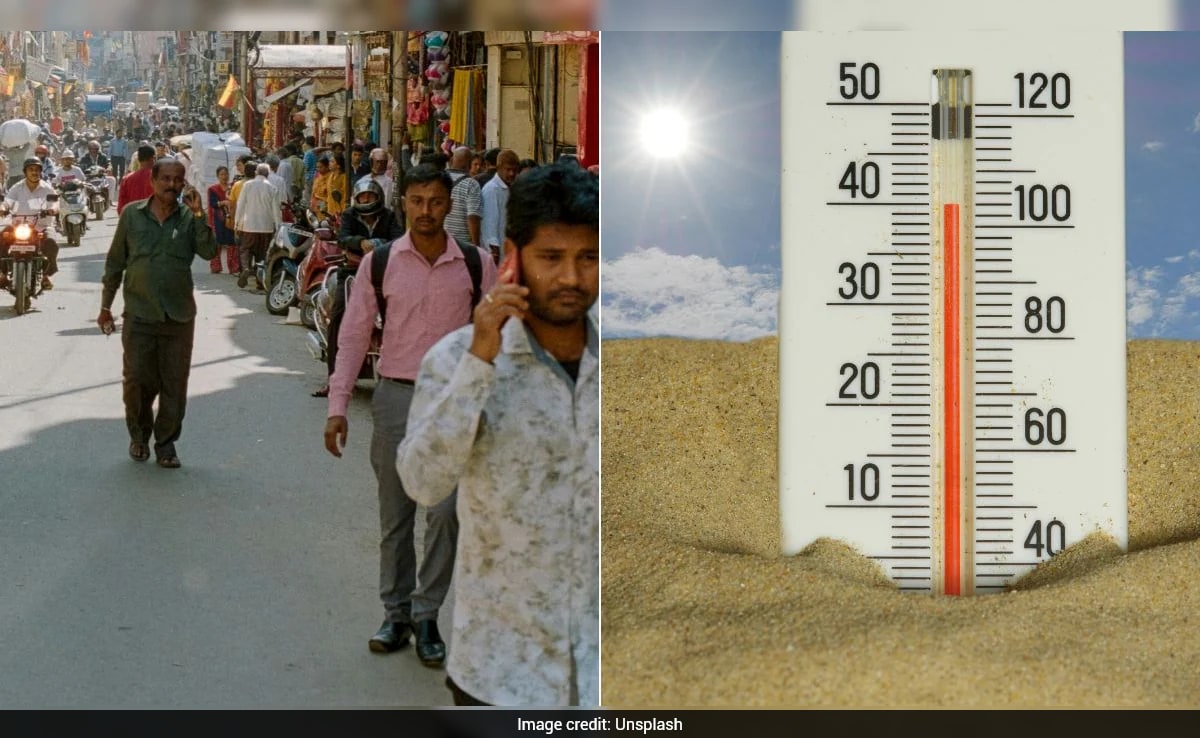 The Art of Baking: From Classic Bread to Artisan Pastries