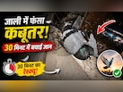 कबूतरों को रोकने के लिए बालकनी में लगाई जाली, दूसरे दिन उसी में फंस गया... ऐसे बचाई जिंदगी