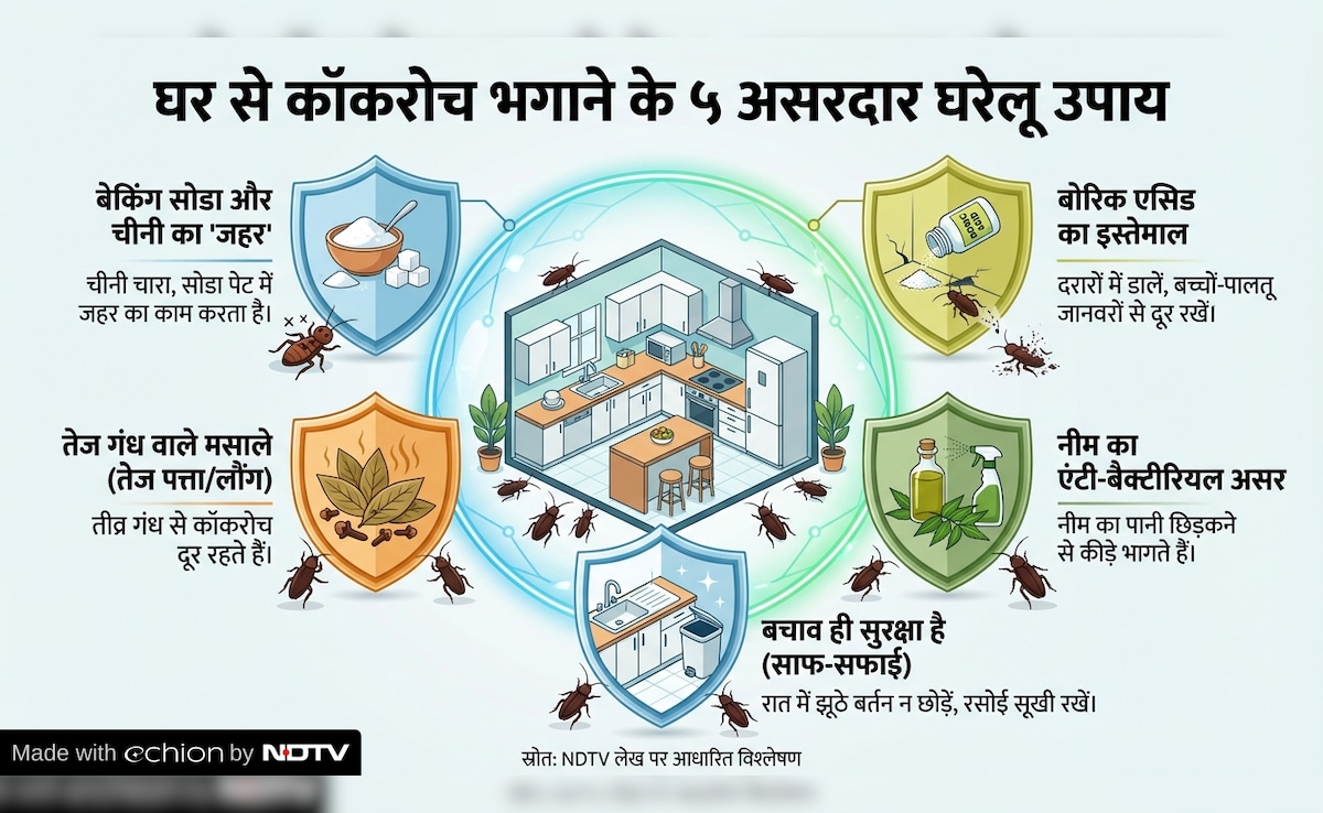 Latest and Breaking News on NDTV