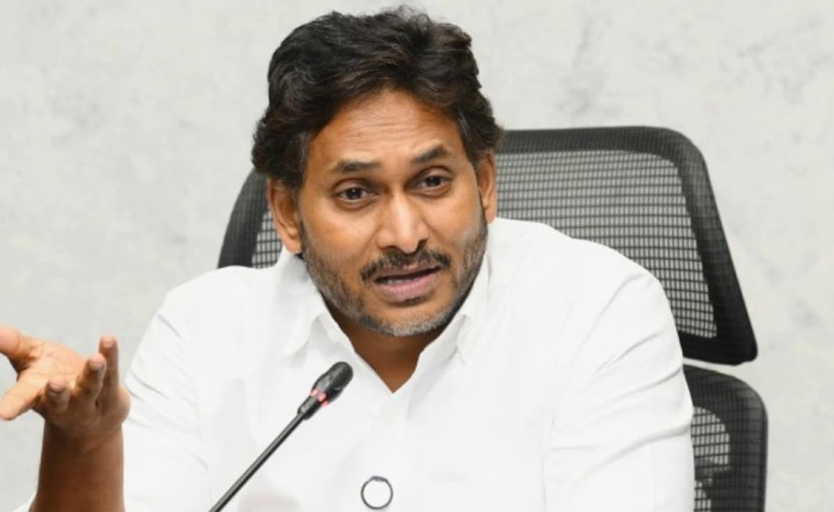 The Art of Baking: From Classic Bread to Artisan Pastries