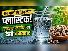 पानी से 98% माइक्रोप्लास्टिक्स हटाते हैं सहजन के बीज, वैज्ञानिकों ने ढूंढ निकाला नेचुरल वाटर फिल्टर