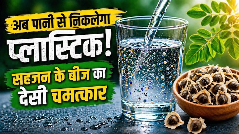 पानी से 98% माइक्रोप्लास्टिक्स हटाते हैं सहजन के बीज, वैज्ञानिकों ने ढूंढ निकाला नेचुरल वाटर फिल्टर