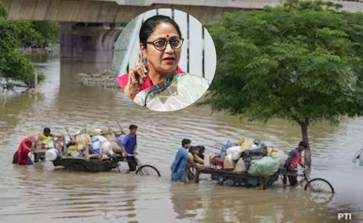 दिल्ली को बाढ़ से बचाने के लिए आ रहा जापानी मॉडल क्या है? रेखा सरकार ने बना लिया प्लान,लेकिन यहां फंस रहा पेच