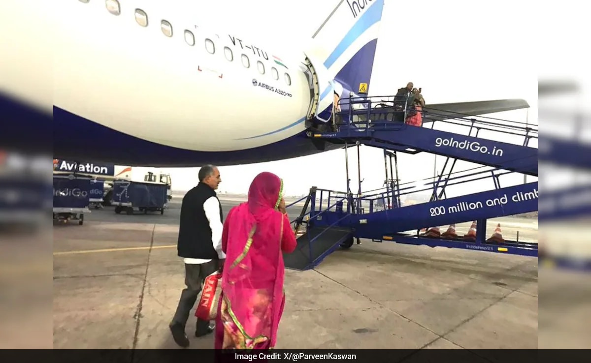 Indian Forest Officer Shares Heartfelt Pic Of Parents' First Flight: 'Took Them 55 Years'